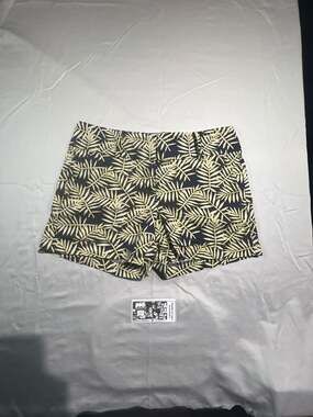 Ann Taylor Modern Size 4 Palm Leaf Print Shorts